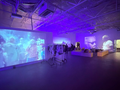 4k Projectors
